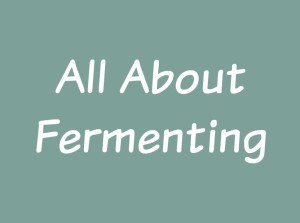 FermentingBoard_PIN